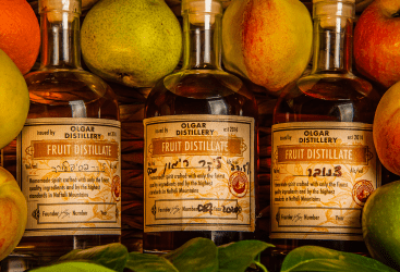 ג׳ין ישראלי – הבוטניקה של הצפון