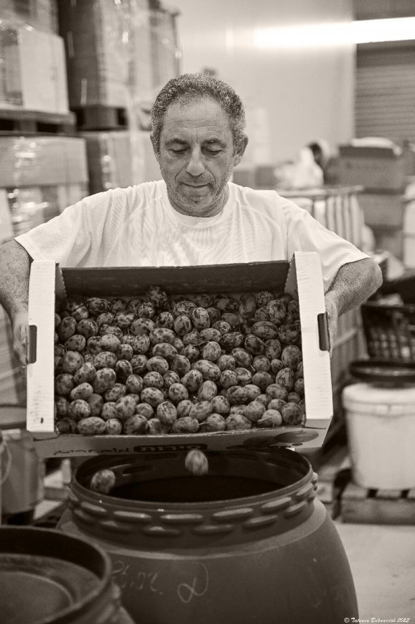 על המזקקה ההישגים שלנו