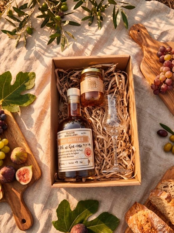 Наши партнеры