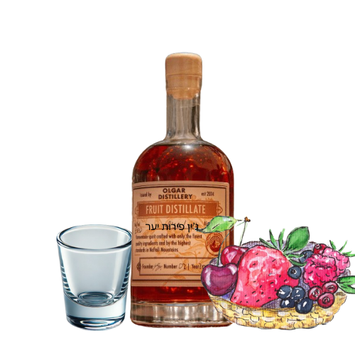 ליקר ג'ין פירות יער 20% אלכוהול  2025